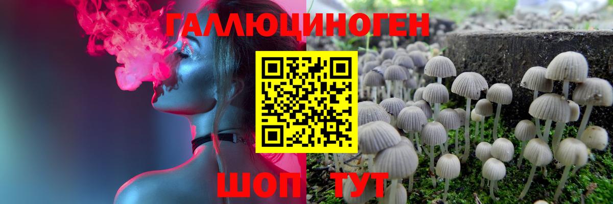 Галлюциногенные грибы Cubensis  Вход с VPN  Уссурийск 
