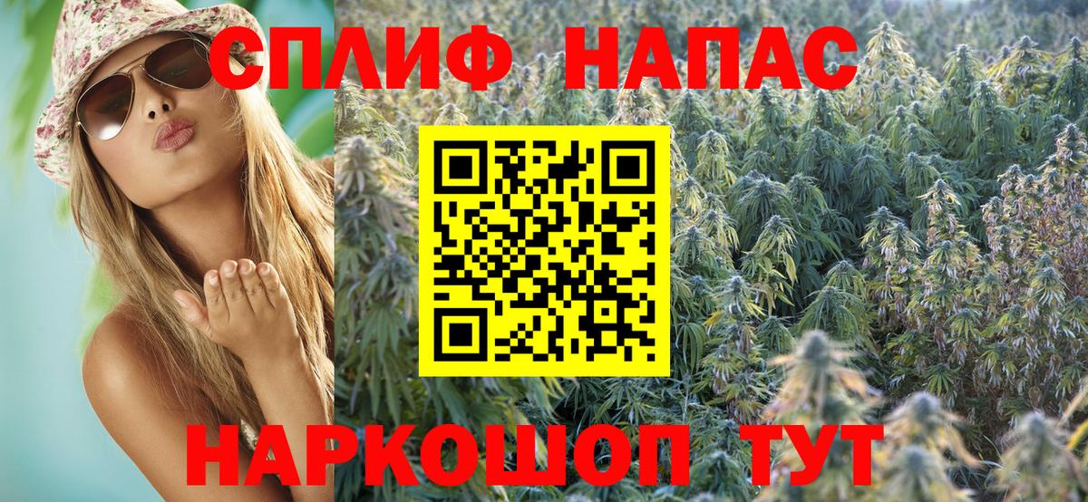 Каннабис гибрид Уссурийск