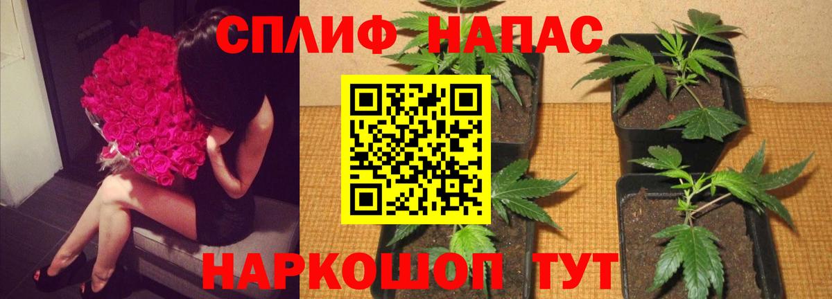 Шишки марихуана конопля  Вход с VPN  Бошки марихуана сатива  Уссурийск 